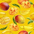 Watercolor seamless pattern mango on a color background. Royalty Free Stock Photo