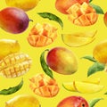 Watercolor seamless pattern mango on a color background. Royalty Free Stock Photo