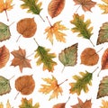 Watercolor Seamless pattern with maple leaf, oak leaves and other forest leaves and branches.Beautiful autumn background in green Royalty Free Stock Photo