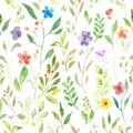 Watercolor seamless pattern with meadow colorful flowers, herbs. Hand drawing floral background Royalty Free Stock Photo