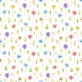 Watercolor seamless pattern with multicolored violet flowers and vegetation Royalty Free Stock Photo