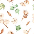 Watercolor seamless pattern with multidirectional branches, buds, flowers and cotton leaves on a white background