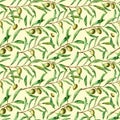 Watercolor seamless pattern with olive branches. Hand painted floral ornament with olive berry and tree branches with