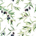 Watercolor seamless pattern with olive tree branch, black olives, and leaves. Hand painted botanical illustration Royalty Free Stock Photo