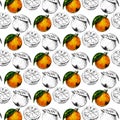 Watercolor seamless pattern of orange fruit with leafs. Vector illustration of citrus orange fruits. Eco food illustration Summer Royalty Free Stock Photo