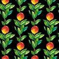 Watercolor Seamless Pattern with Orange Peaches,leaves on black isolated background doodle style.Fruits print