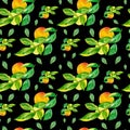 Watercolor Seamless Pattern with Orange Peaches,leaves on black isolated background doodle style.Fruits print