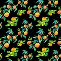 Watercolor Seamless Pattern with Orange Peaches,leaves on black isolated background doodle style.Fruits print