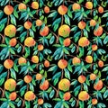 Watercolor Seamless Pattern with Orange Peaches,leaves on black isolated background doodle style.Fruits print