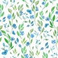 Watercolor seamless pattern with painted blue flowers, leaves, berries on white background Royalty Free Stock Photo