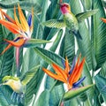 Watercolor seamless pattern palm eaves, hummingbird and strelizia flowers, Illustration of modern exotic jungle plants Royalty Free Stock Photo