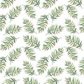Watercolor seamless pattern with palm leaves and tropical flowers and plants. Royalty Free Stock Photo
