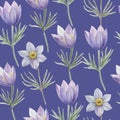 Watercolor seamless pattern with pasque spring flowers. Royalty Free Stock Photo