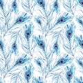Watercolor seamless pattern with peacock feathers Royalty Free Stock Photo