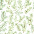 Watercolor seamless pattern pine branches