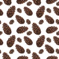 Watercolor seamless pattern pine cones Royalty Free Stock Photo