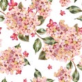 Watercolor seamless pattern with pink blooming hydrangea, small wildflowers Royalty Free Stock Photo