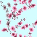 Watercolor seamless pattern pink blossoming plum branch on a turquoise background Royalty Free Stock Photo