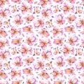 Watercolor seamless pattern of pink flowers on white Royalty Free Stock Photo