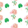 A watercolor seamless pattern with pink geranium with green leaves Royalty Free Stock Photo
