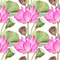 watercolor seamless pattern of pink lotus flower, buds and leaves, hand drawn illustration of spa and yoga theme, sketch