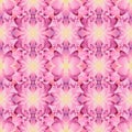 Watercolor seamless pattern of pink lotuses. Seamless symmetrical patterns from fragments of lotus flowers