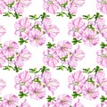 Watercolor seamless pattern with pink Rhododendron flower and leaves. Hand drawn botanical illustration of azalea
