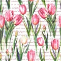 Watercolor seamless pattern with pink and white tulip flowers