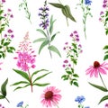 Watercolor seamless pattern, wild field flowers