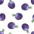 Watercolor seamless pattern with plums. Royalty Free Stock Photo