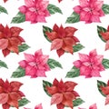 Watercolor seamless pattern of poinsettia flowers in red and pink with green vibrant leaves. Isolated clipart for Royalty Free Stock Photo