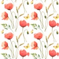 Watercolor seamless pattern with poppies, field herbs and butterflies, isolated on white background. Perfect for Royalty Free Stock Photo