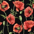 Watercolor seamless pattern with poppy flowers. Hand painted floral illustration with flowers, leaves, seed capsule and