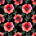 Watercolor seamless pattern poppy flowers and leaves Royalty Free Stock Photo