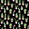 Watercolor seamless pattern of potted tropical cactuses. Indoor design. Home decoration background.