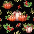 Watercolor seamless pattern with pumpkins, Brier leaves and berries. Autumn illustration isolated on black backround