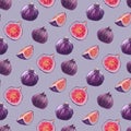 Watercolor seamless pattern of purple figs. Realistic Tropical Fruit Digital Paper