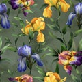 Watercolor seamless pattern with purple, yellow and blue iris flower and green leaves Royalty Free Stock Photo