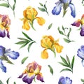 Watercolor seamless pattern with purple, yellow and blue iris flower and green leaves Royalty Free Stock Photo