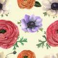 Watercolor seamless pattern with ranunculus and anemones. Hand drawn floral illustration with vintage background. Botanical Royalty Free Stock Photo