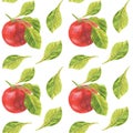 Watercolor seamless pattern of red apples with foliage on an isolated white background. Ripe fruit and green leaves for printing Royalty Free Stock Photo