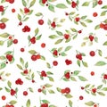 Watercolor seamless pattern with red berries, green leaves, branches. Hand drawing floral background Royalty Free Stock Photo