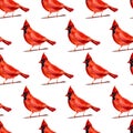 Watercolor seamless pattern with red cardinal birds on twigs