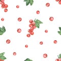 Watercolor seamless pattern with red currant berries on branches with leaves for textures and prints Royalty Free Stock Photo