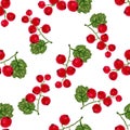 Watercolor seamless pattern with red currant. Vector background. For healthy menu, packaging or wrapping