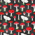 Watercolor seamless pattern with red toadstool mushrooms, hand drawn illustration, autumn poison harvest hand drawn elements