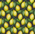 Watercolor seamless pattern of ripe yellow lemons with leaves and lemon tree branch on dark blue background Royalty Free Stock Photo