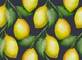 Watercolor seamless pattern of ripe yellow lemons with leaves and lemon tree branch on dark blue background Royalty Free Stock Photo