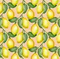 Watercolor seamless pattern of ripe yellow lemons with leaves and lemon tree branch on light beige background Royalty Free Stock Photo