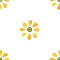 Watercolor Seamless pattern of simple flowers. Yellow and green on white.
